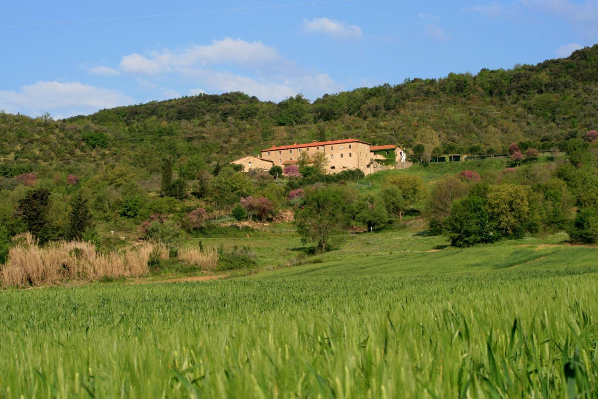 Agriturismo San Ottaviano Monterotondo  Eksteriør billede